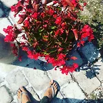 Du Cherche Midi